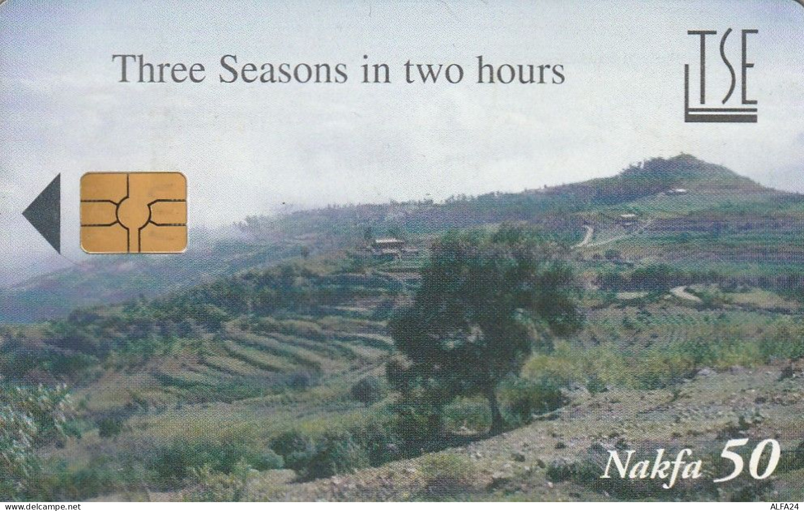 PHONE CARD ERITREA  (E56.12.8 - Erythrée