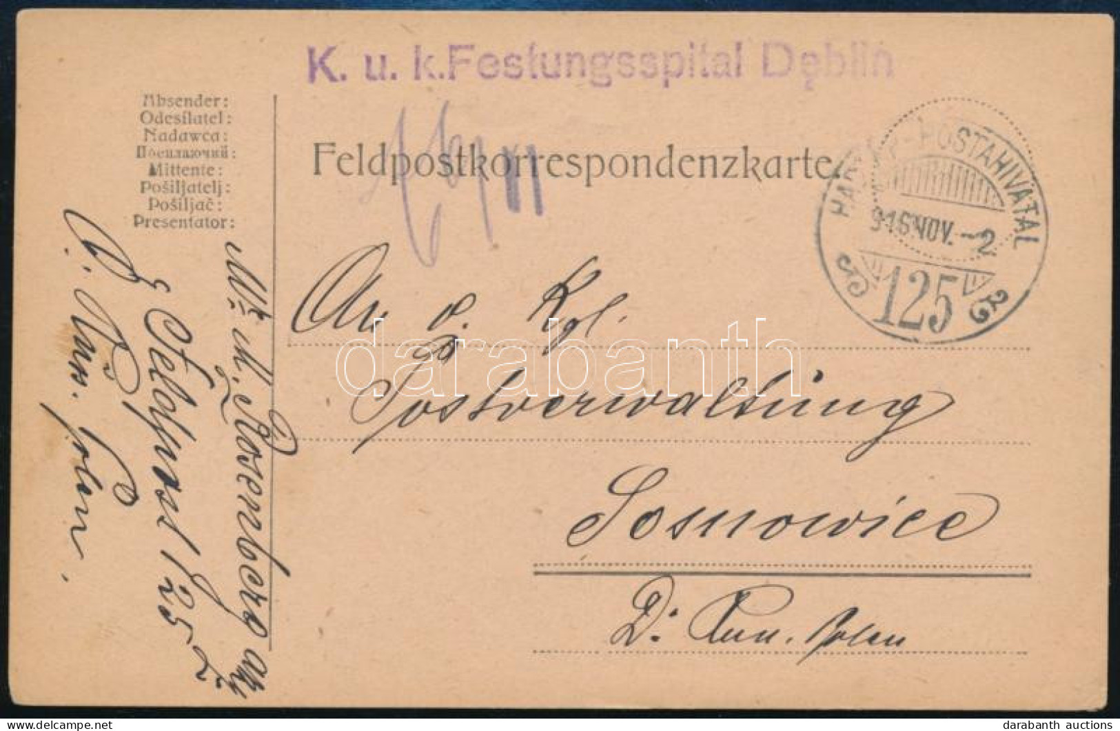 1916 Tábori Posta Levelezőlap "K.u.k. Festungsspital Deblin" - Autres & Non Classés