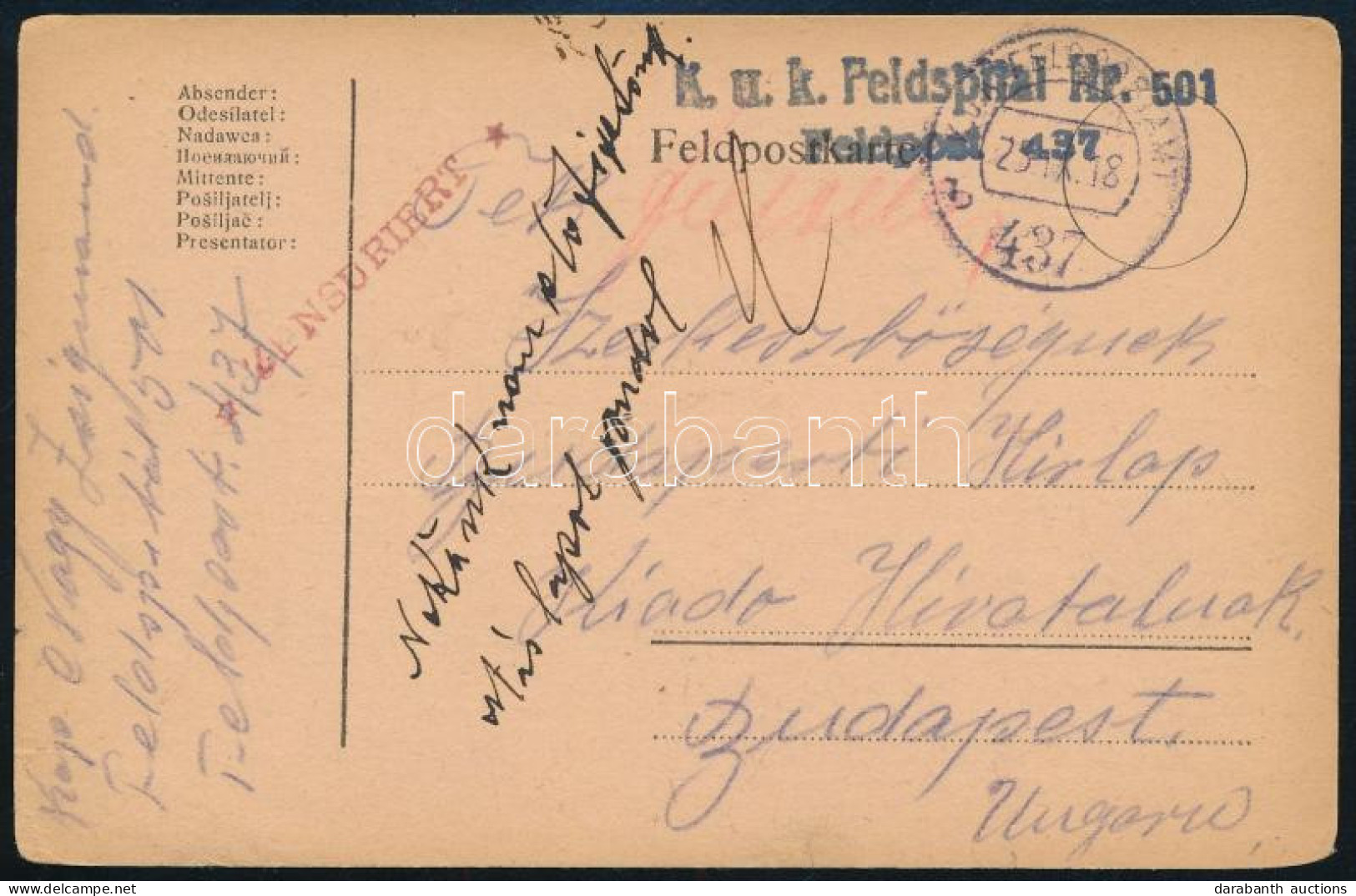 1918 Tábori Posta Levelezőlap "K.u.k. Feldspital Nr. 501." + "FP 437 B" - Autres & Non Classés