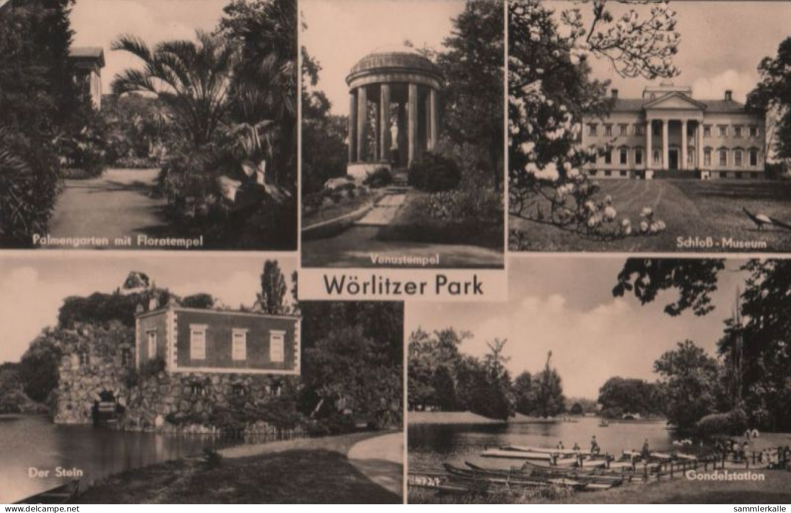 46318 - Wörlitz - Park, U.a. Palmengarten - 1962 - Wörlitz