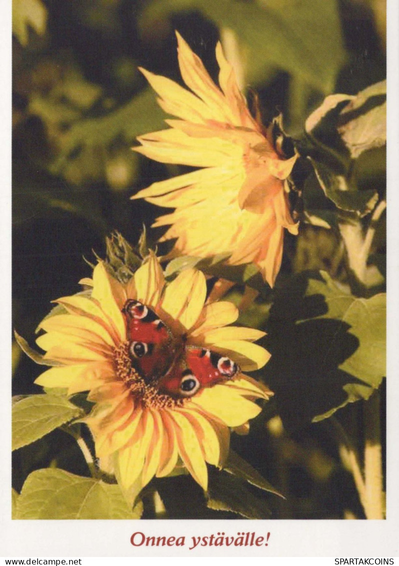 MARIPOSAS Animales Vintage Tarjeta Postal CPSM #PBS447.ES - Mariposas