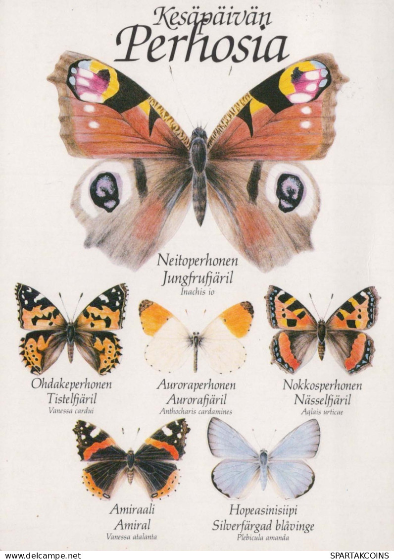 SCHMETTERLINGE Tier Vintage Ansichtskarte Postkarte CPSM #PBS449.DE - Mariposas