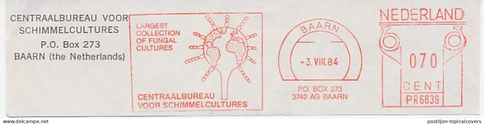 Meter Top Cut Netherlands 1984 Fungal Cultures - Autres & Non Classés