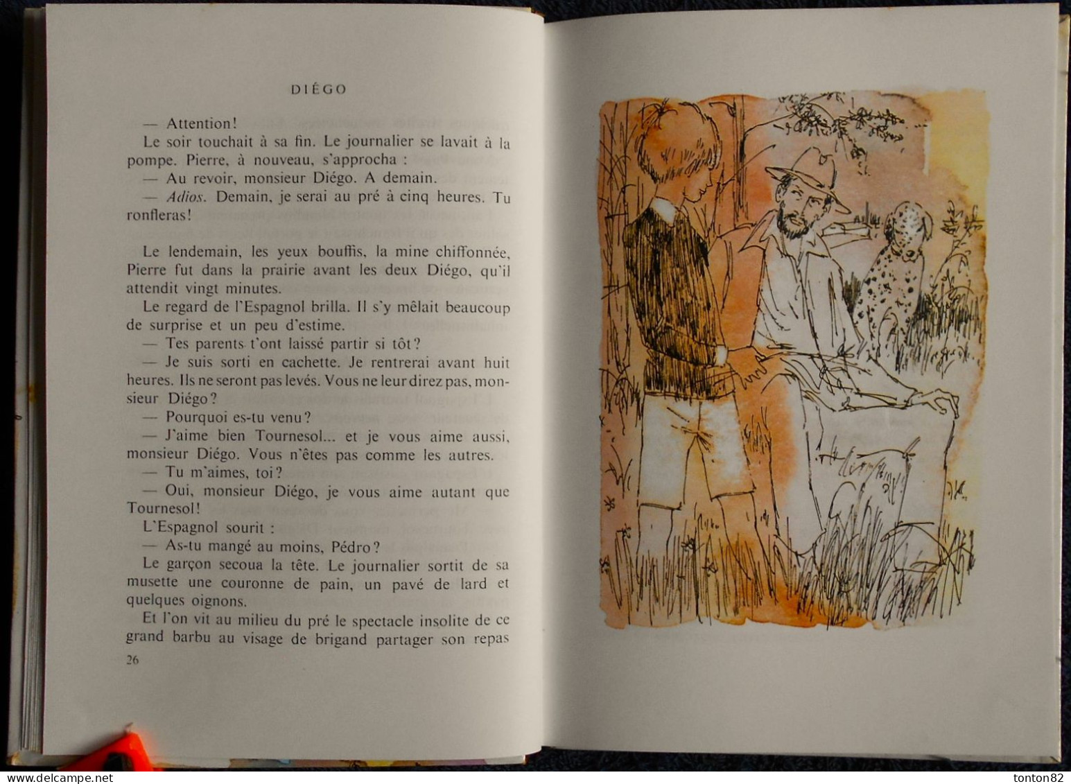 Serge Durousseau - Diégo - Bibliothèque Rouge et Or  - 2.768 - ( 1973 ) .