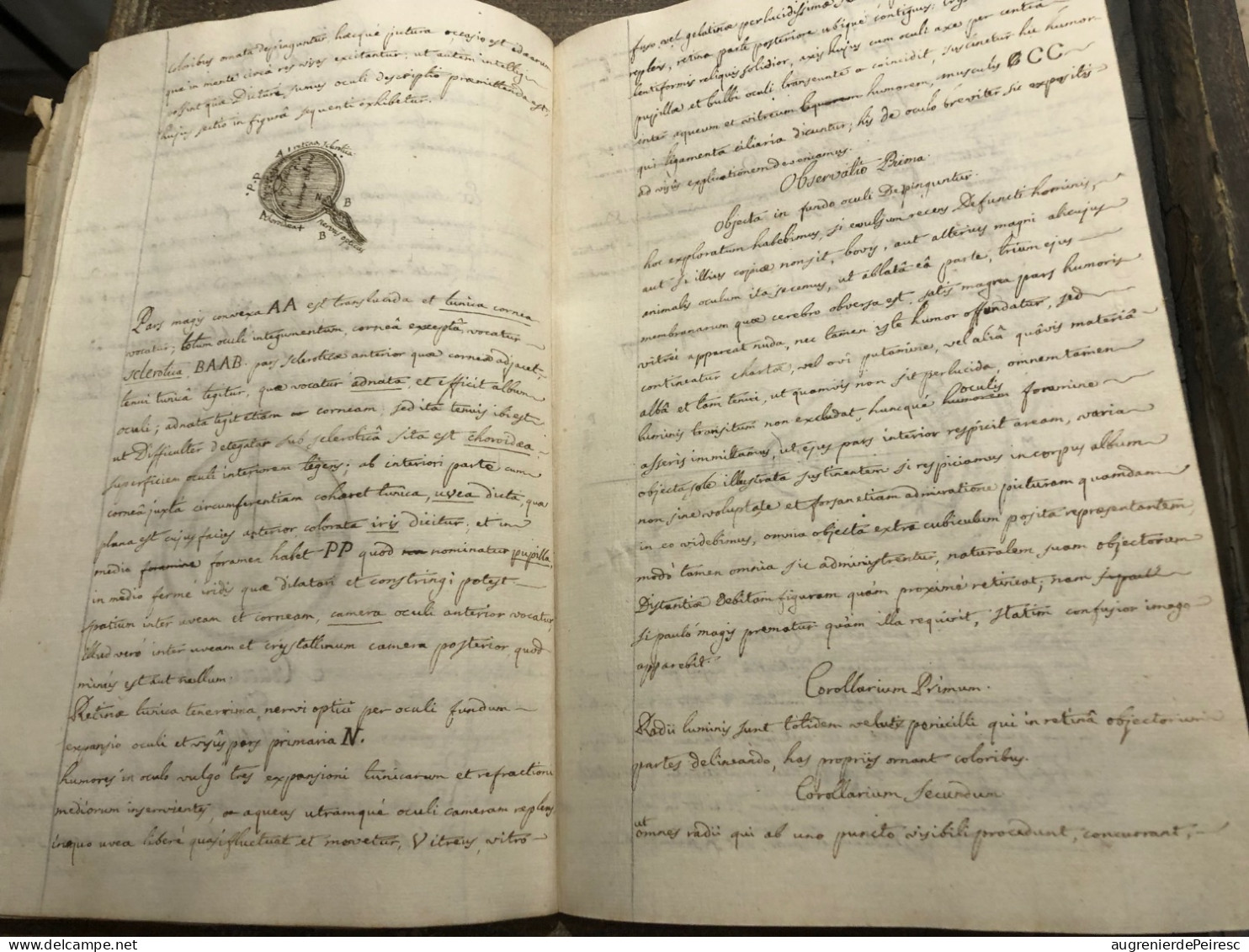 Manuscrit de physique en latin  XVIIIeme , XIXeme siècle ?