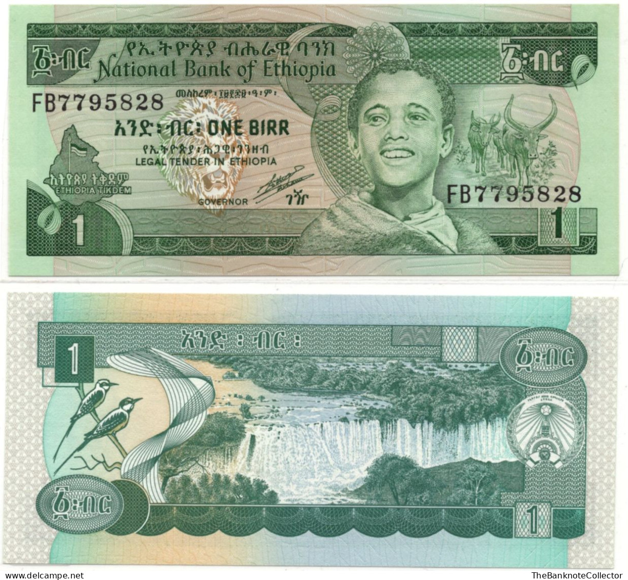 Ethiopia 1 Birr  ND1991 P-41 UNC - Ethiopie