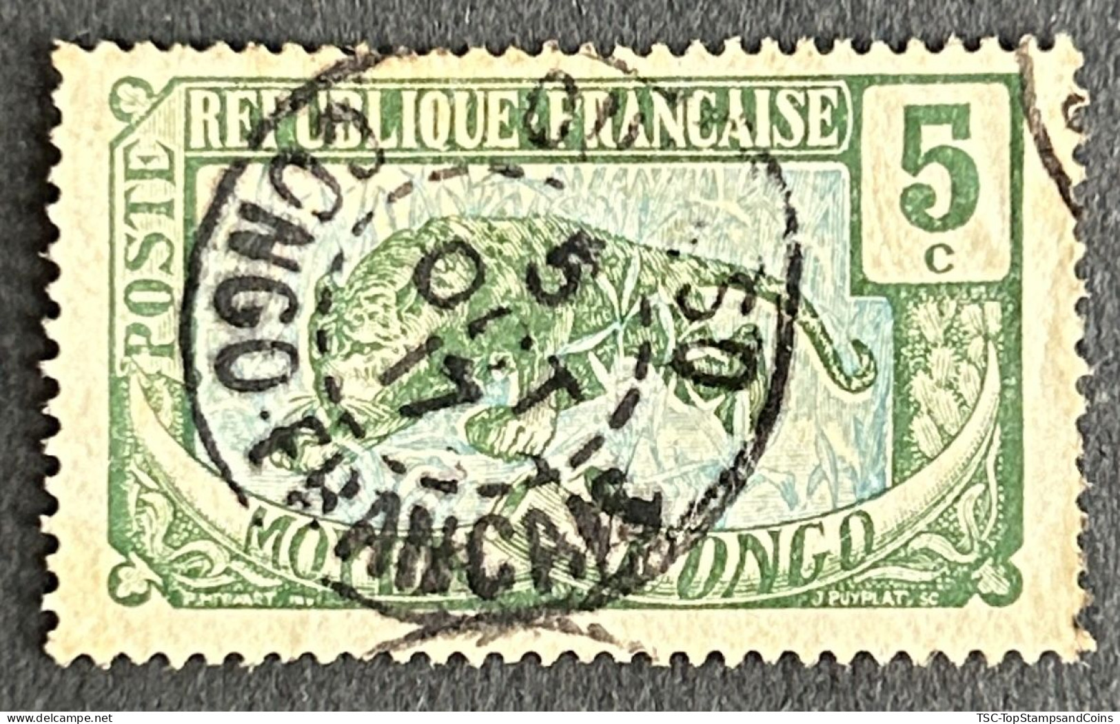 FRCG051U2 - Leopard - 5 C Used Stamp - Middle Congo - 1907 - Gebraucht