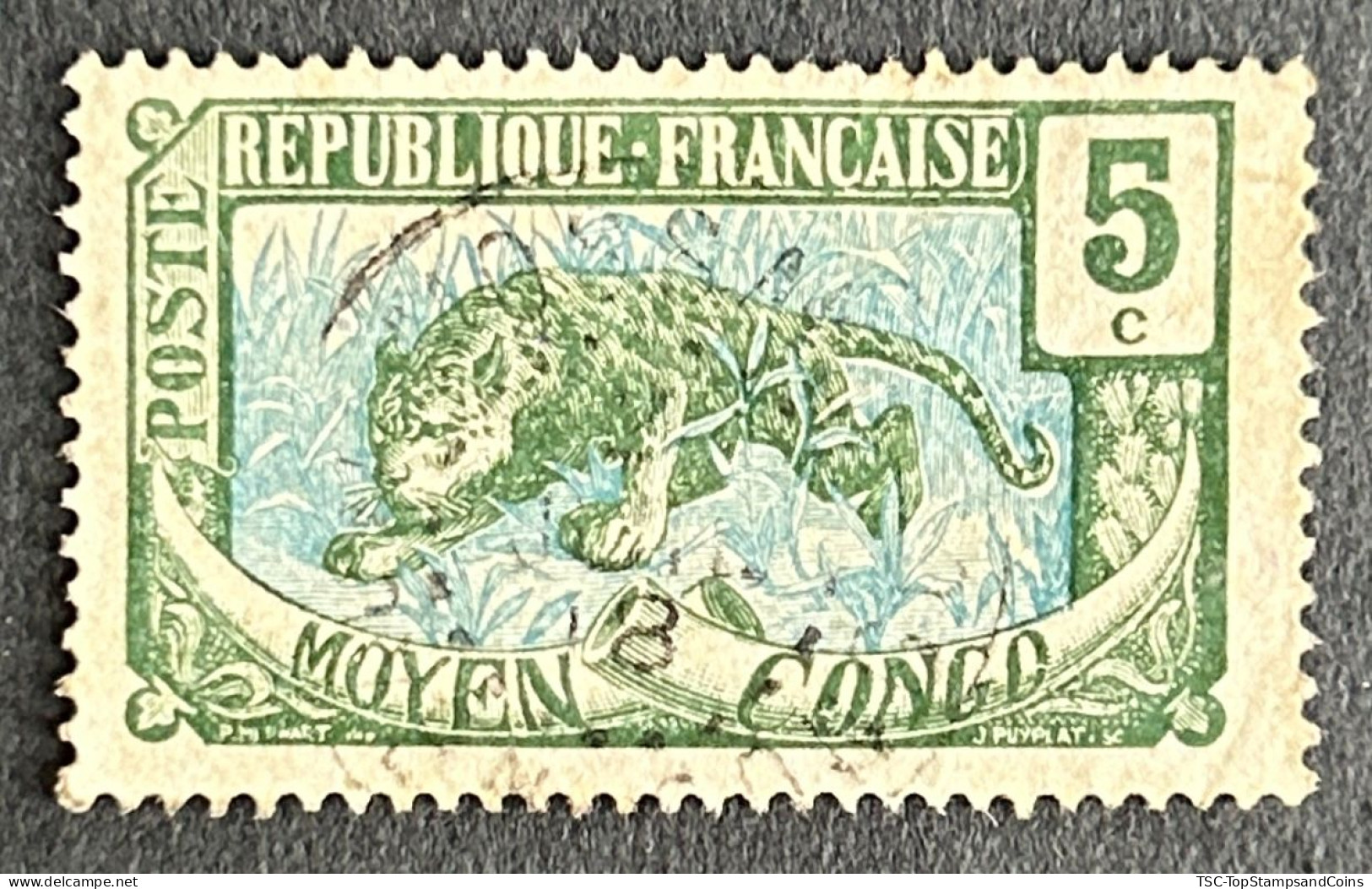 FRCG051U3 - Leopard - 5 C Used Stamp - Middle Congo - 1907 - Usados