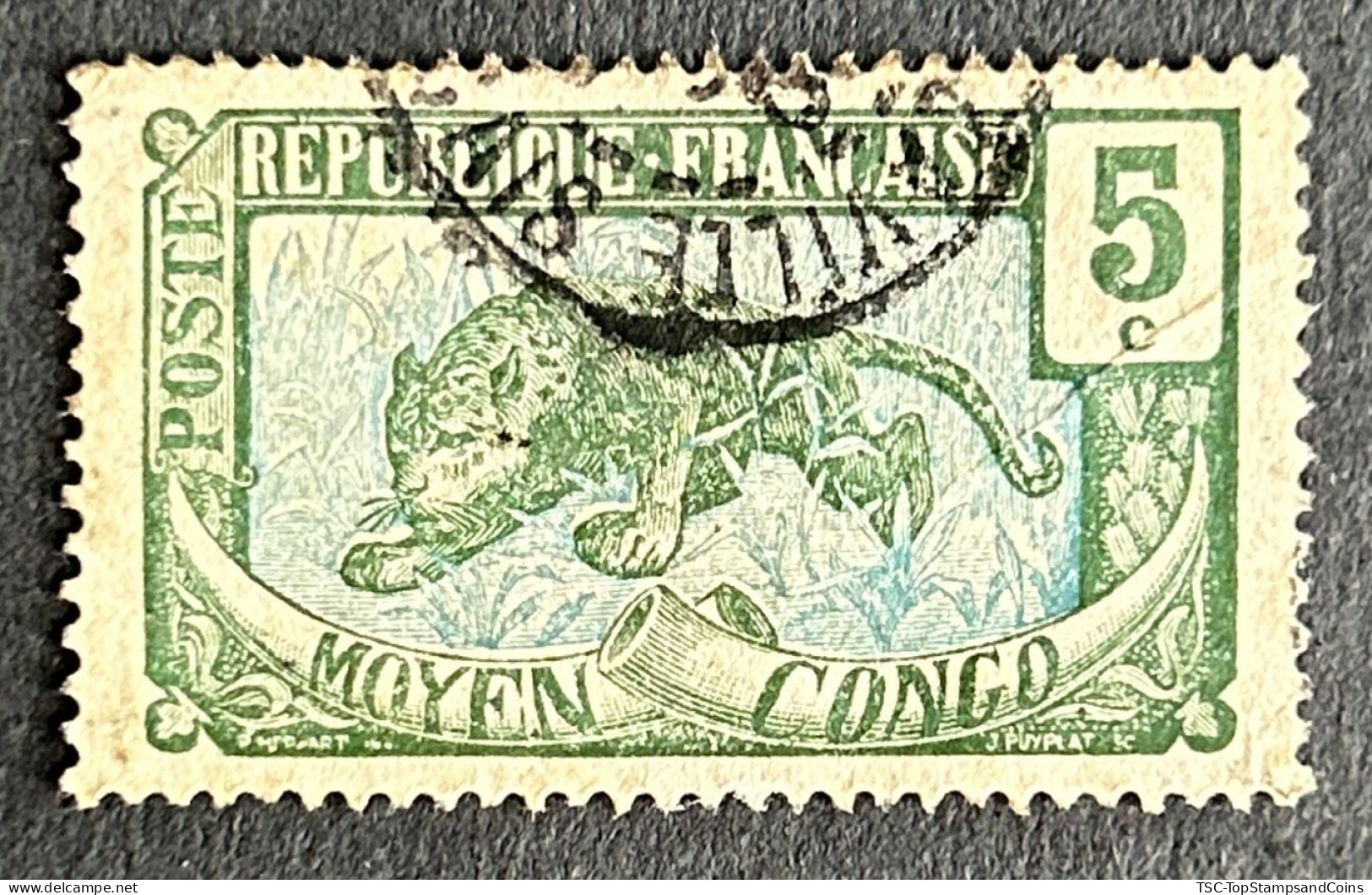 FRCG051U4 - Leopard - 5 C Used Stamp - Middle Congo - 1907 - Gebruikt