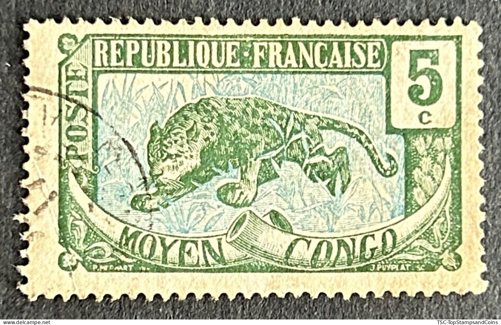 FRCG051U6 - Leopard - 5 C Used Stamp - Middle Congo - 1907 - Usati