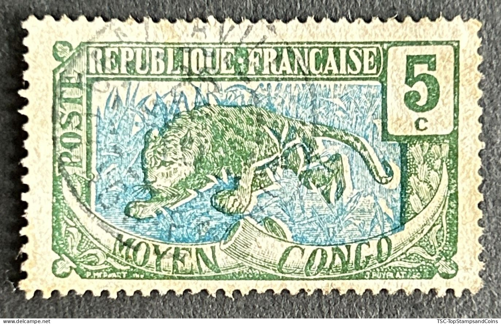 FRCG051U8 - Leopard - 5 C Used Stamp - Middle Congo - 1907 - Used Stamps