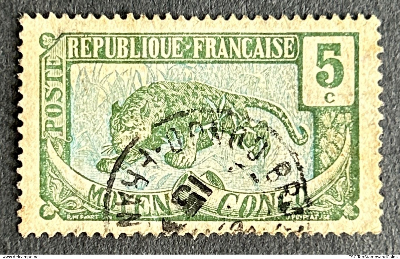 FRCG051UA - Leopard - 5 C Used Stamp - Middle Congo - 1907 - Used Stamps