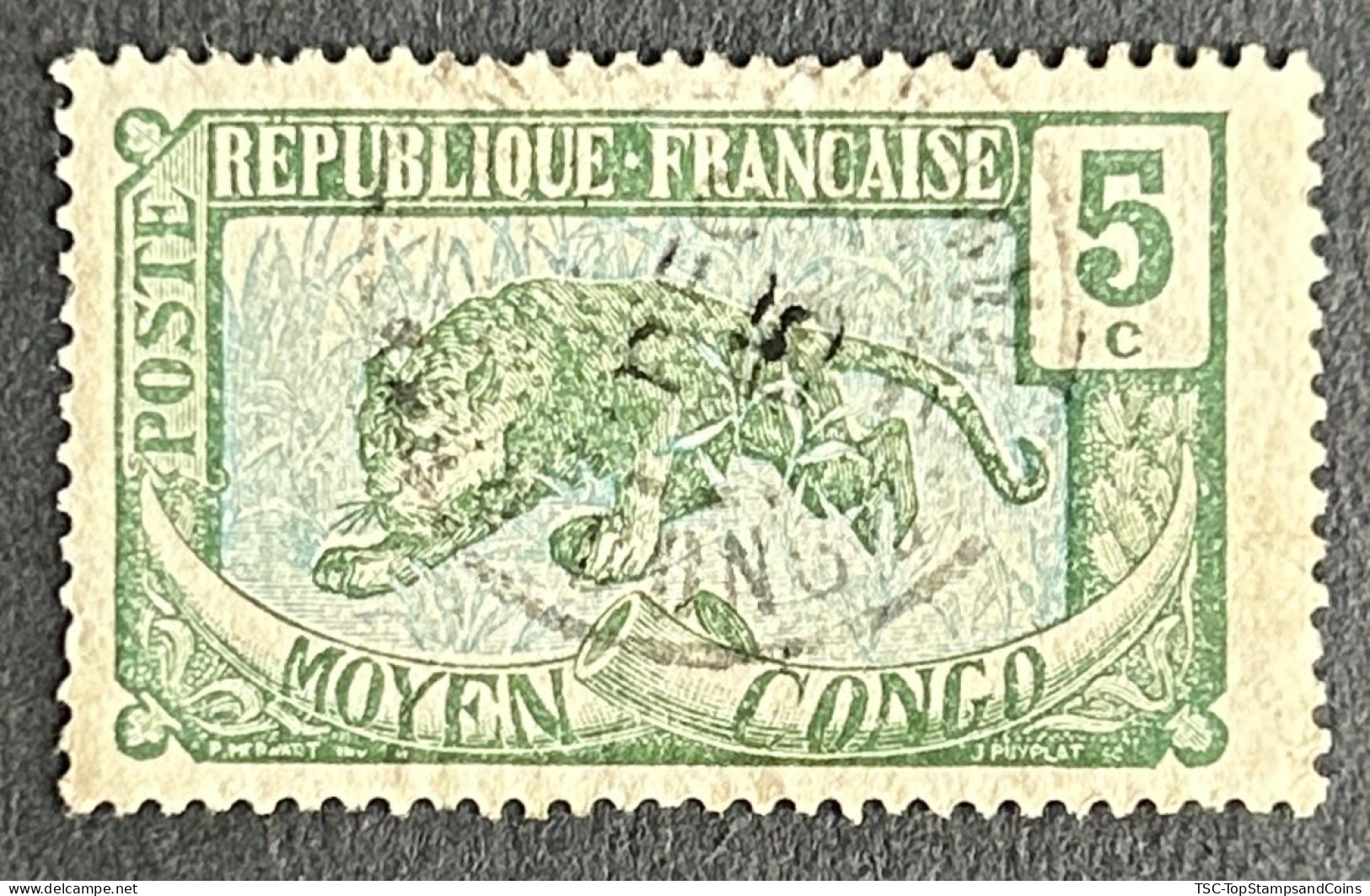 FRCG051UC - Leopard - 5 C Used Stamp - Middle Congo - 1907 - Gebraucht