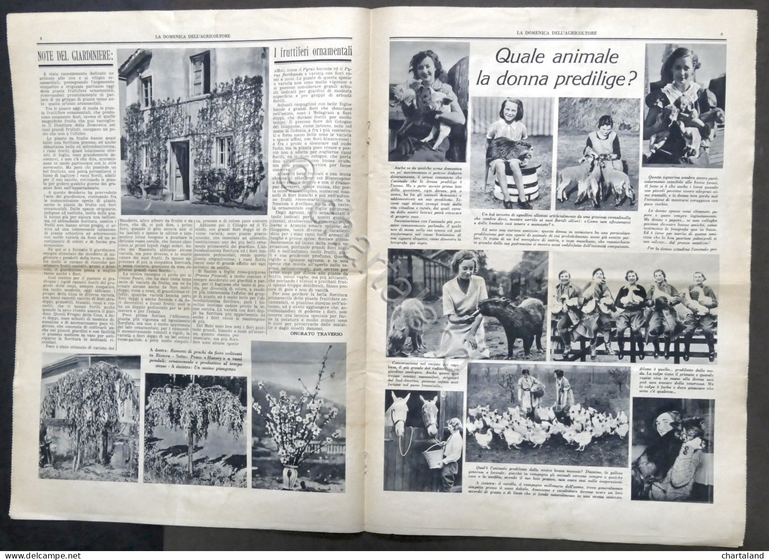 La Domenica Dell'Agricoltore - Anno VIII Completo 1933 - 53 Fascicoli - Altri & Non Classificati