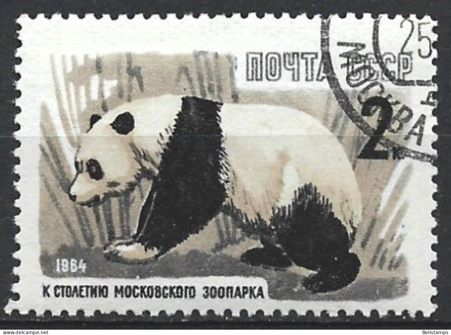 Russia 1964. Scott #2906 (U) Giant Panda - Used Stamps