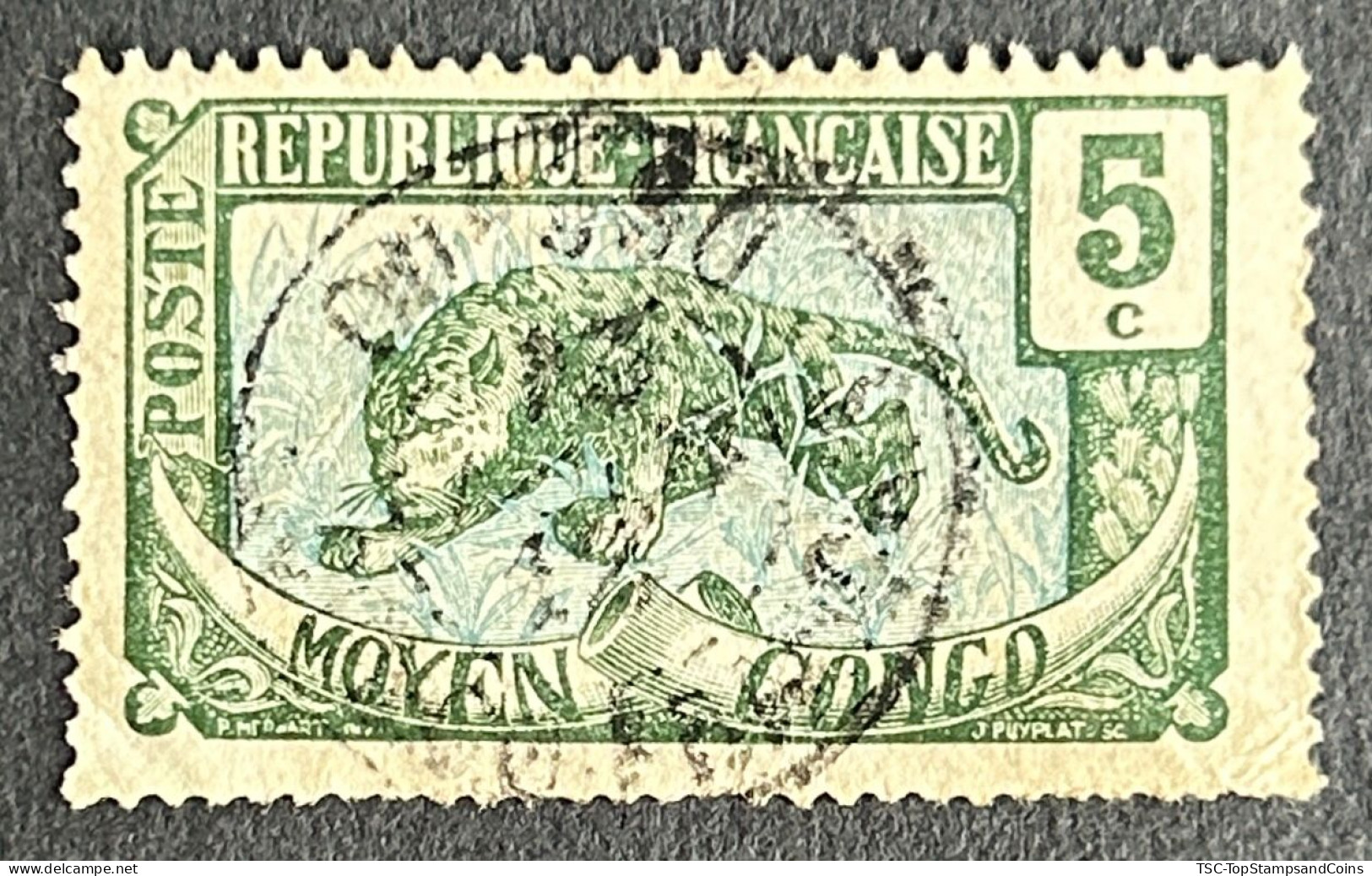 FRCG051UD - Leopard - 5 C Used Stamp - Middle Congo - 1907 - Used Stamps