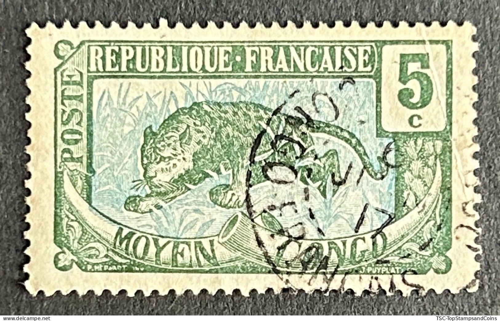 FRCG051UE - Leopard - 5 C Used Stamp - Middle Congo - 1907 - Used Stamps