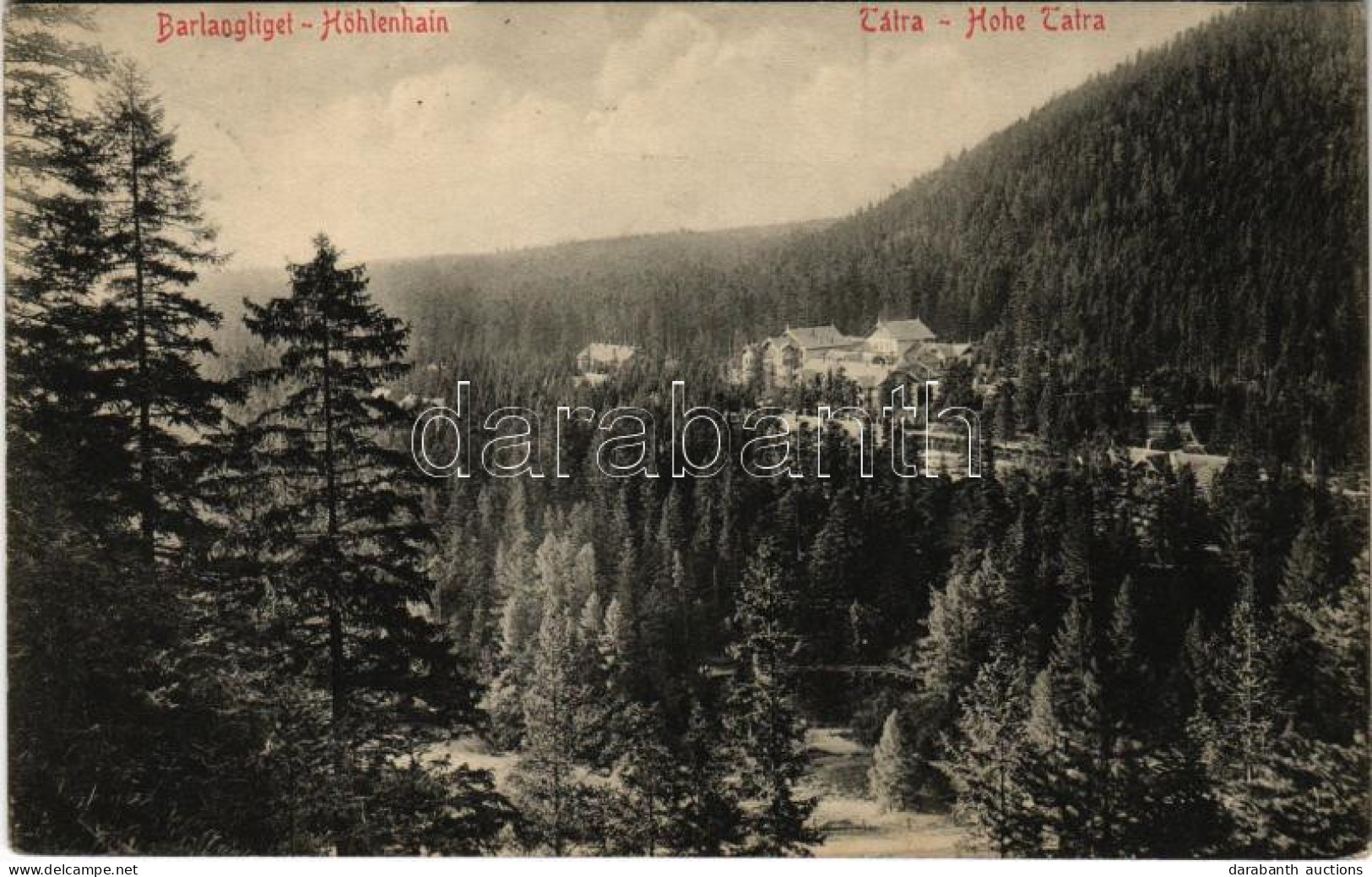T2 1913 Barlangliget, Höhlenhain, Tatranská Kotlina (Magas-Tátra, Vysoké Tatry); Látkép / General View - Ohne Zuordnung