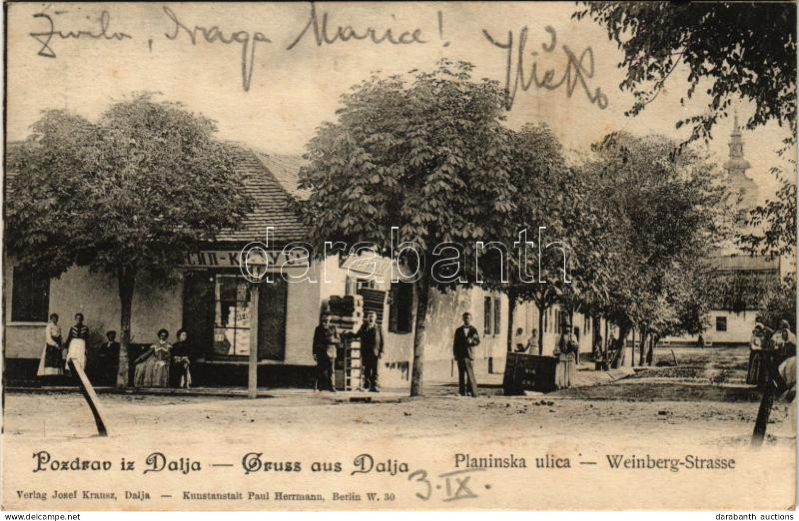 T2/T3 1905 Dálya, Dalja, Dalj (Erdőd, Erdut); Planinska Ulica / Weinberg-Strasse / Utca, Josef Krausz üzlete és Saját Ki - Non Classés