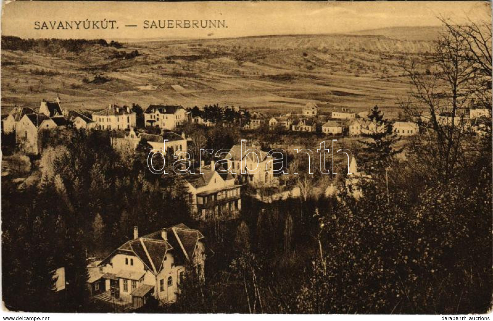 T2/T3 1913 Savanyúkút, Sauerbrunn; Látkép. Hönigsberg Frigyes Kiadása / General View (EK) - Unclassified
