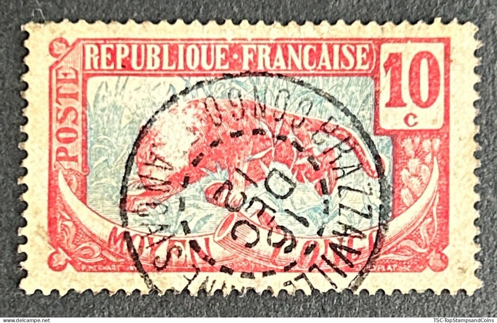 FRCG052U8 - Leopard - 10 C Used Stamp - Middle Congo - 1907 - Gebruikt