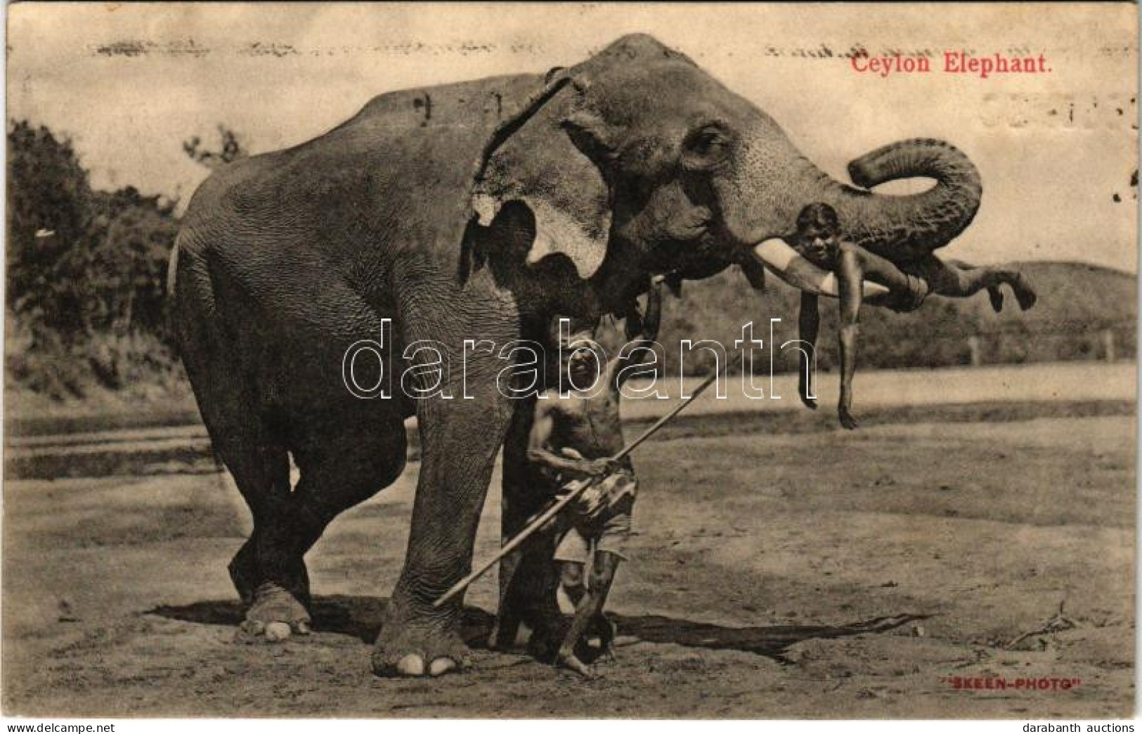 T2 1913 Ceylon Elephant / Munkára Fogott Sri Lanka-i Elefánt Játék Közben - Ohne Zuordnung