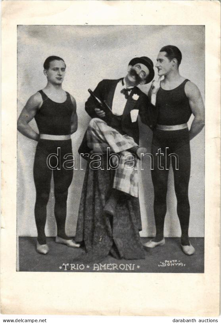 ** T3 Trio Ameroni. Photo Sonya / Cirkuszi Mutatványosok / Circus Acrobats (szakadások / Tears) - Unclassified