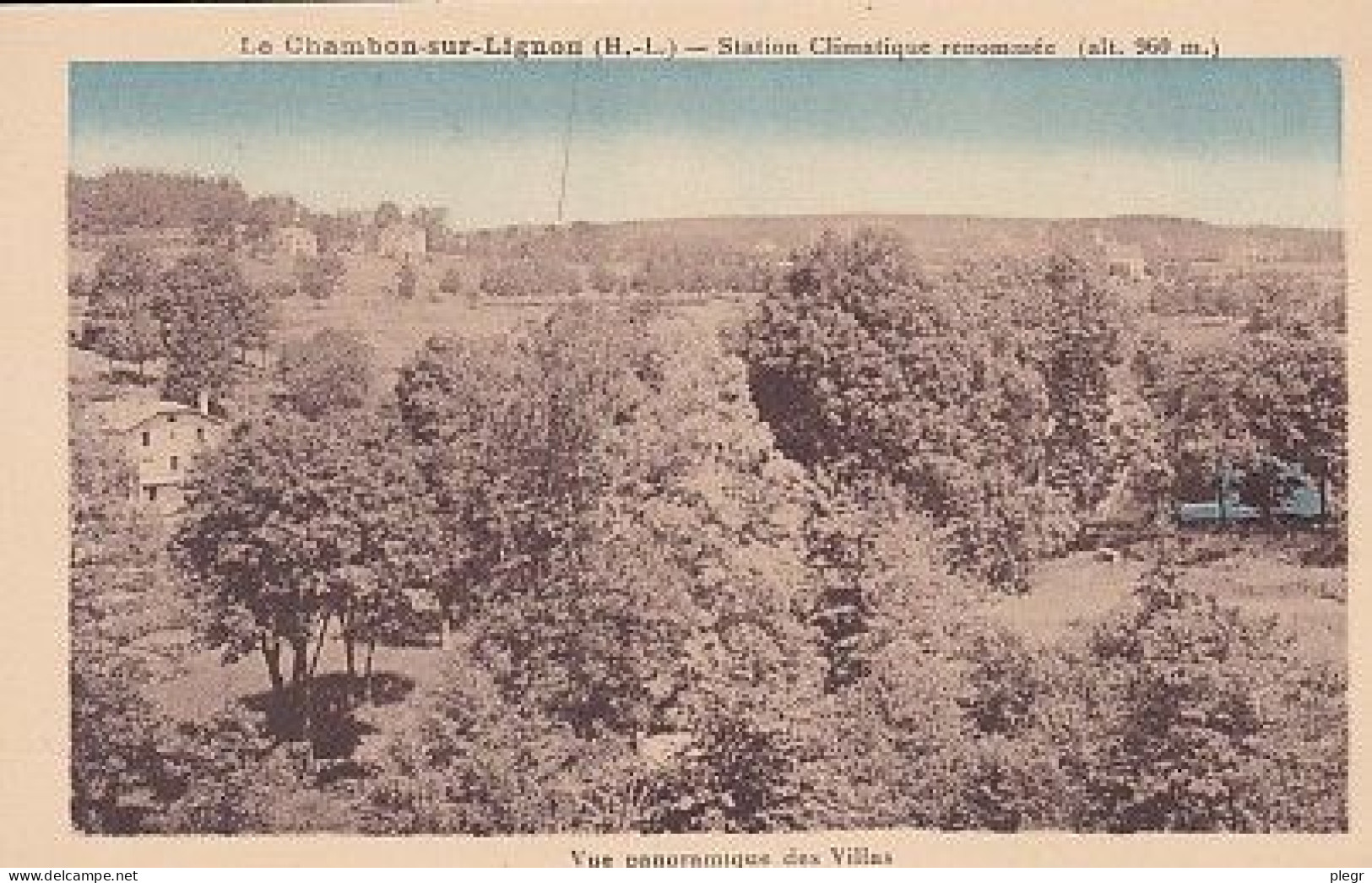1-43051 01 01+19 - LE CHAMBON SUR LIGNON - VUE PANORAMIQUE DES VILLAS - Le Chambon-sur-Lignon