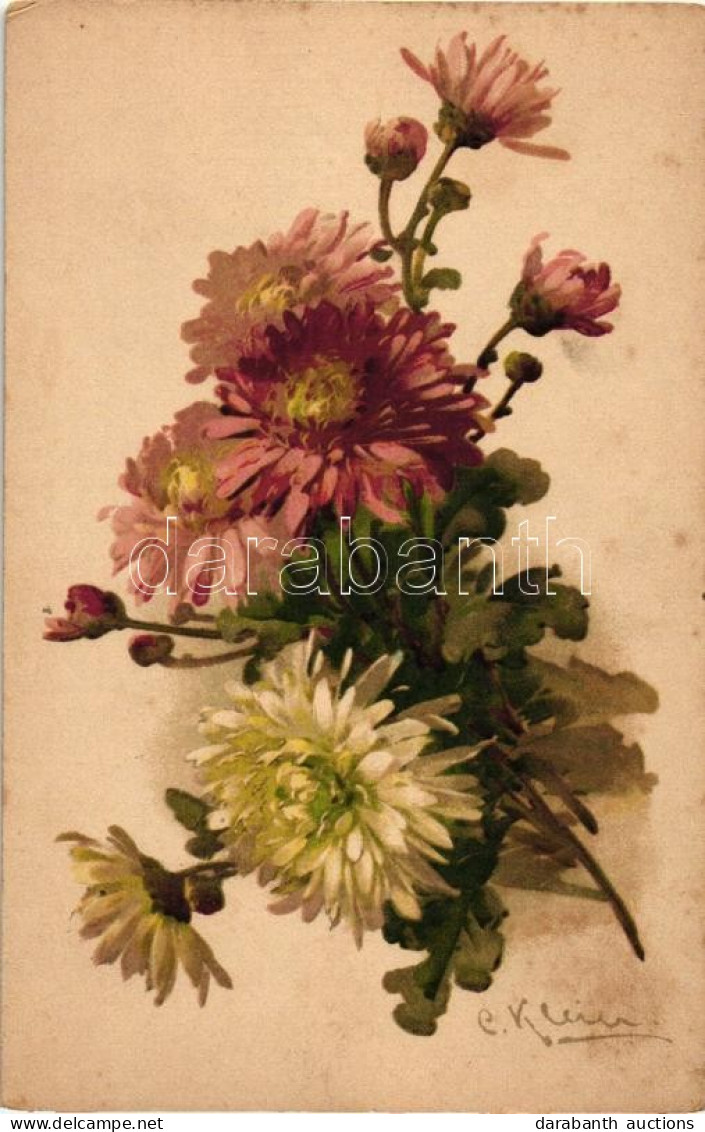 ** T2/T3 Flower Litho S: Klein (fl) - Unclassified