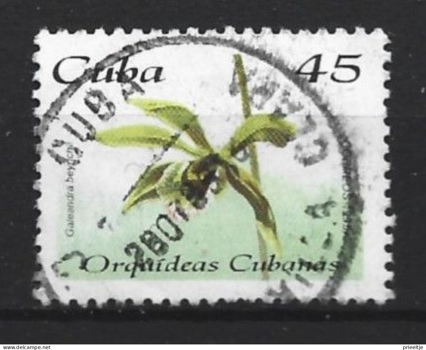 Cuba 1995 Plant  Y.T. 3470 (0) - Used Stamps