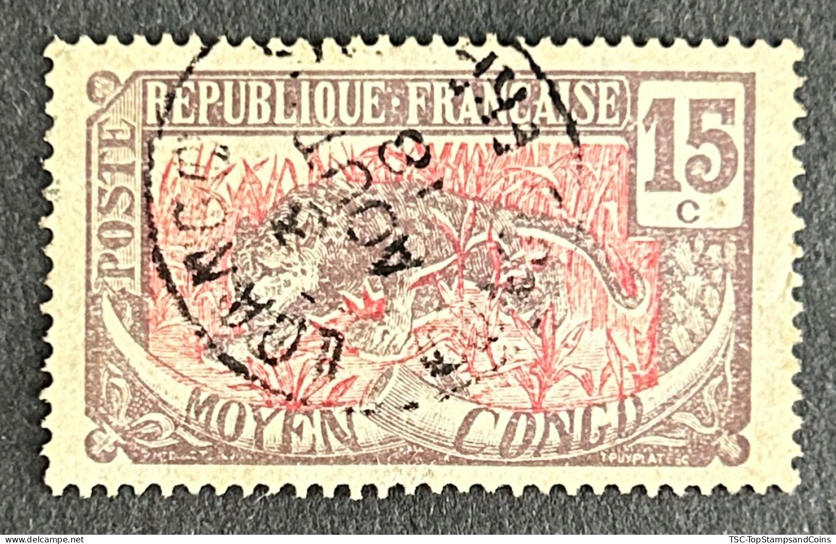 FRCG053U - Leopard - 15 C Used Stamp - Middle Congo - 1907 - Oblitérés