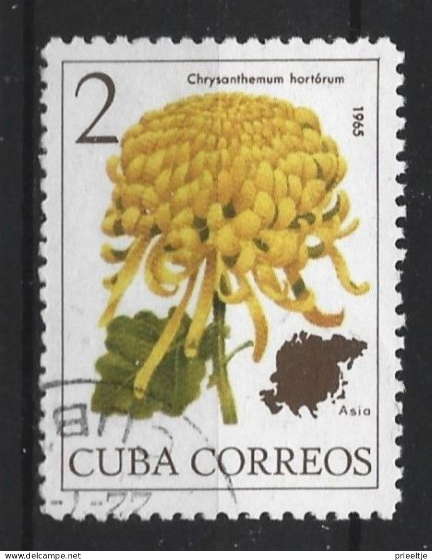 Cuba 1965 Flower  Y.T. 866 (0) - Usati