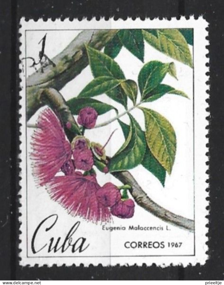 Cuba 1967 Flower  Y.T. 1109 (0) - Used Stamps