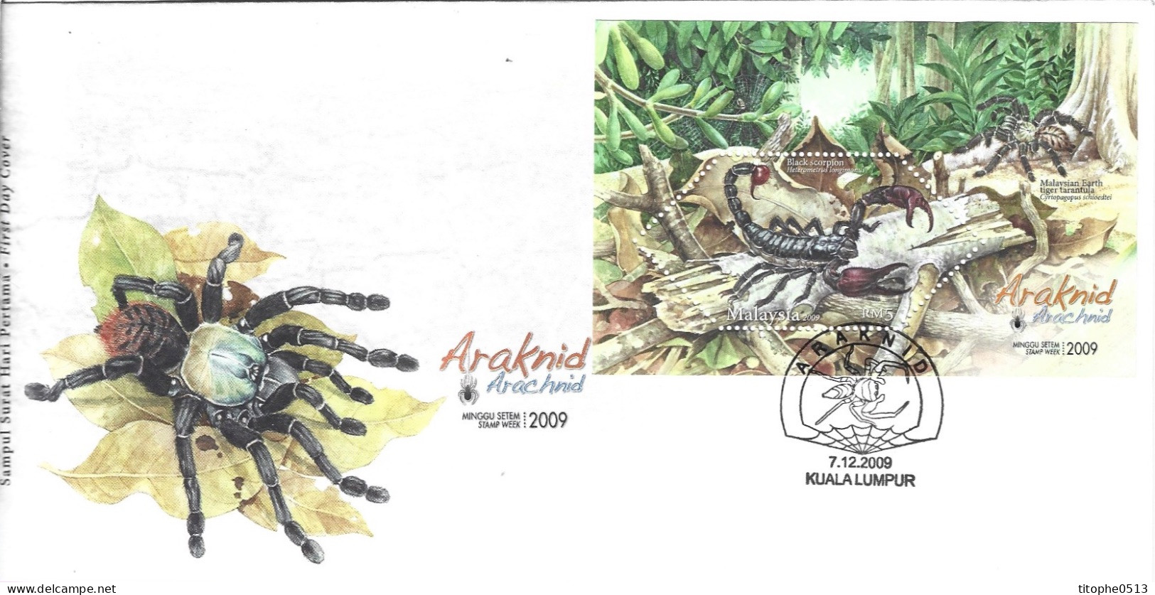 MALAISIE. BF 127 De 2009 Sur Enveloppe 1er Jour. Araignée/Scorpion. - Spiders