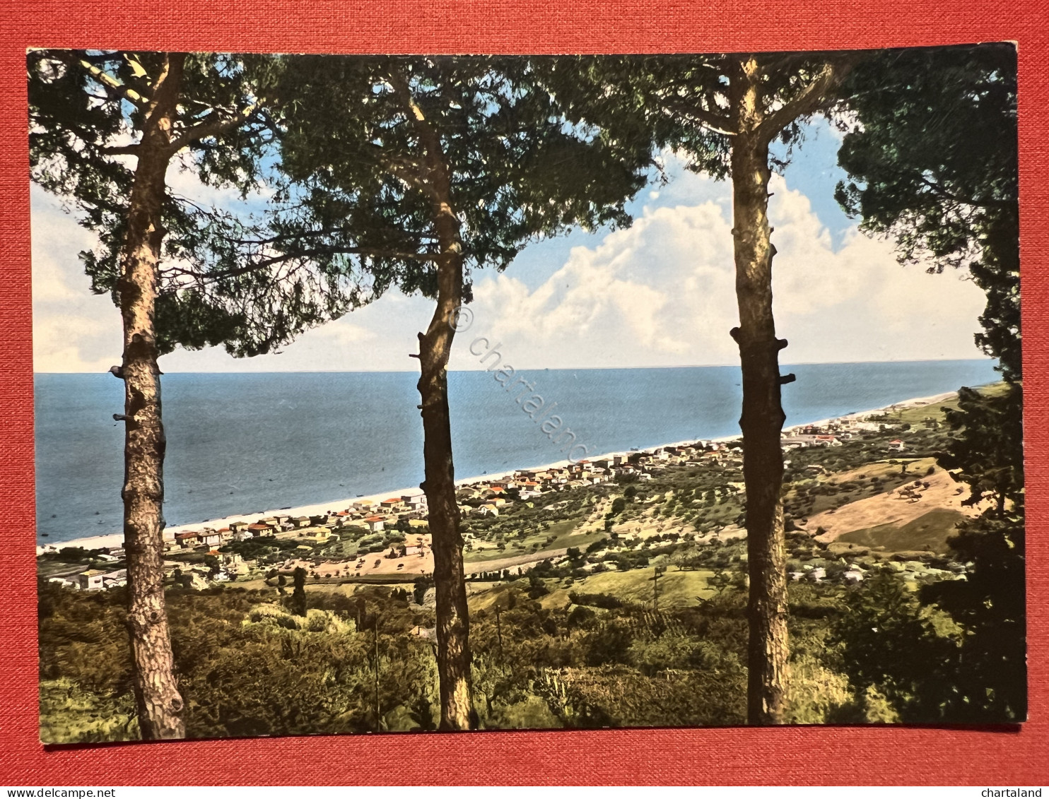 Cartolina - Silvi Marina ( Teramo ) - Panorama - 1960 Ca. - Teramo