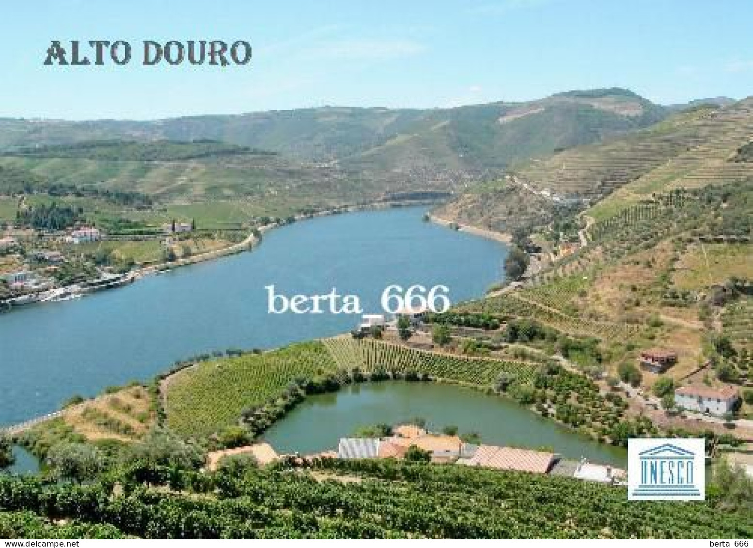 Portugal Alto Douro Wine Region UNESCO New Postcard - Vila Real