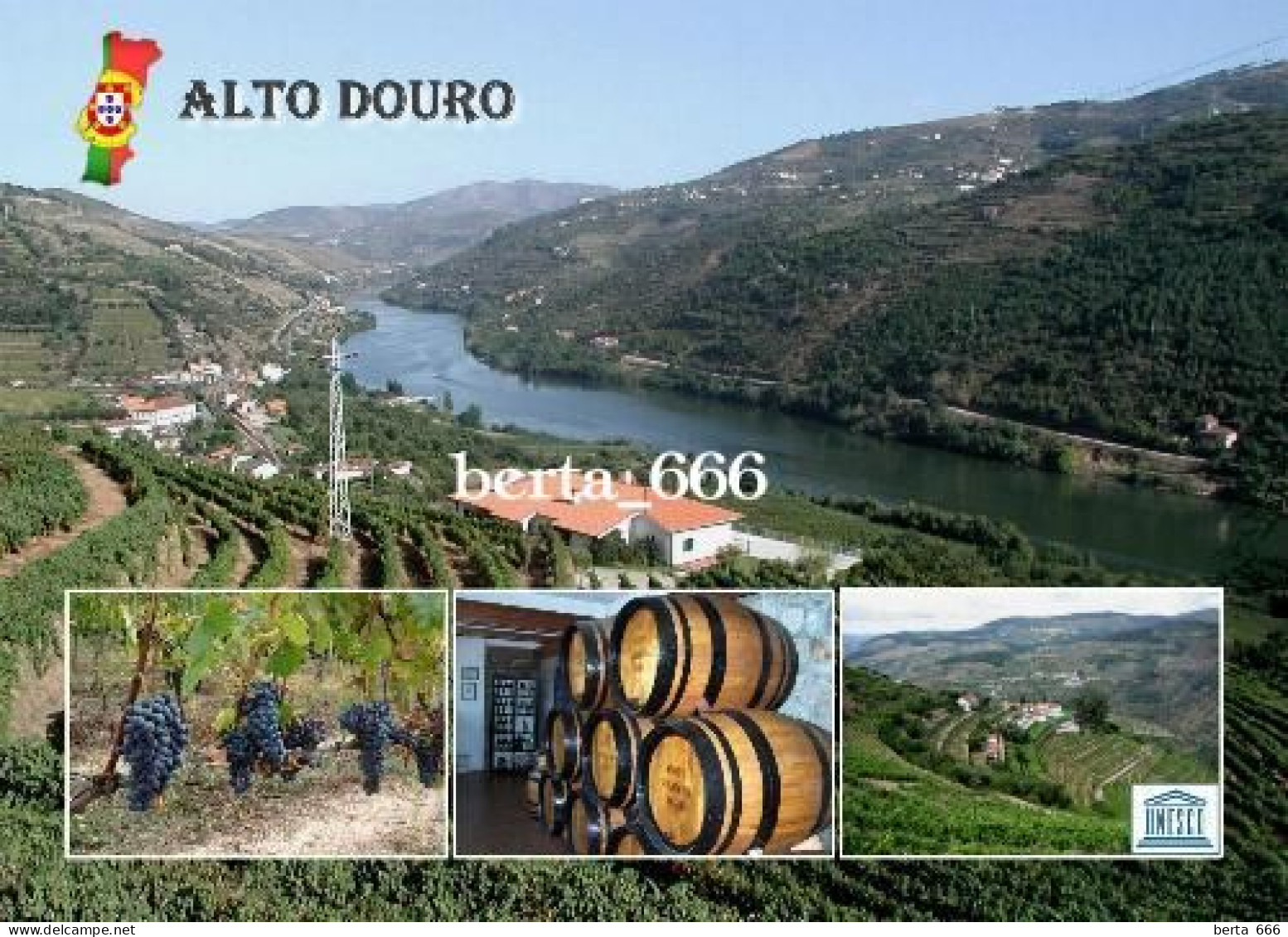 Portugal Alto Douro Wine Region UNESCO New Postcard - Vila Real