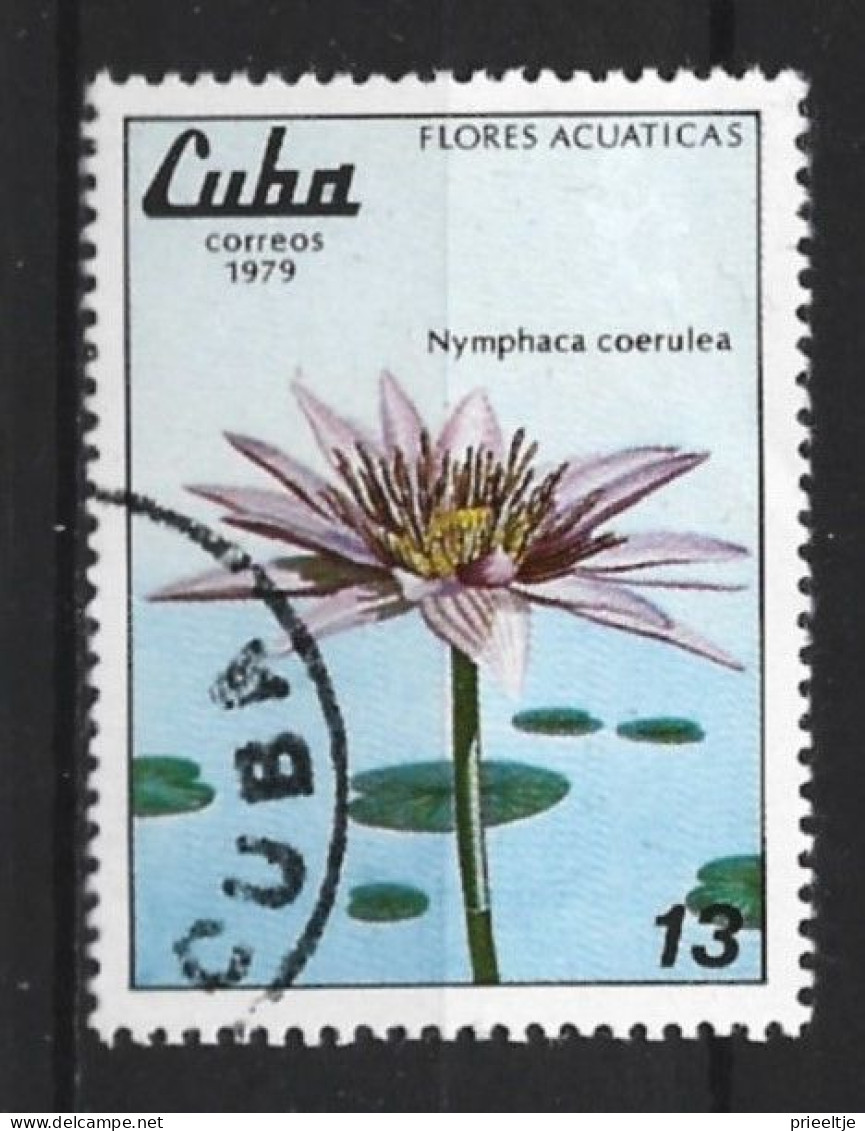 Cuba 1979 Flower  Y.T. 2107 (0) - Usati