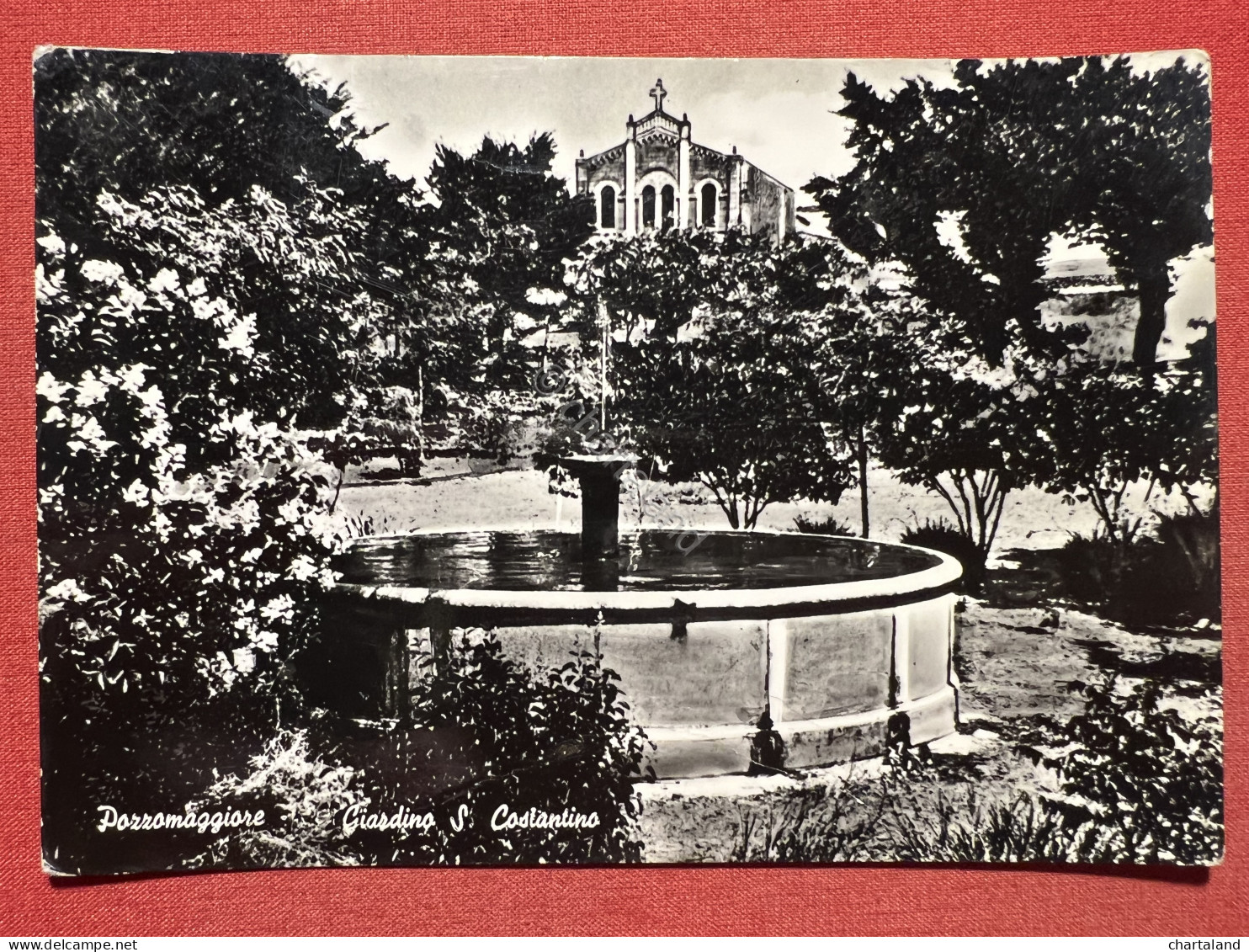 Cartolina - Pozzomaggiore ( Sassari ) - Giardino S. Costantino - 1961 - Sassari