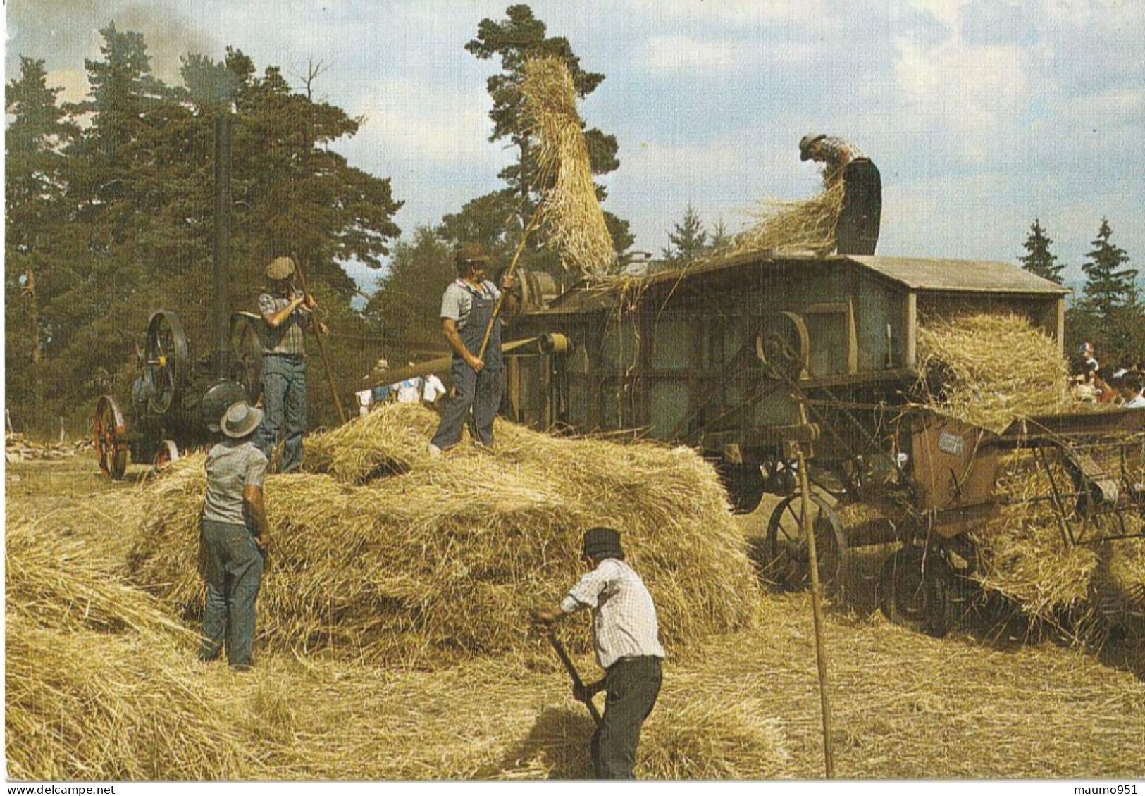 Traditions De La Campagne. Le Battage à L'ancienne - Farmers