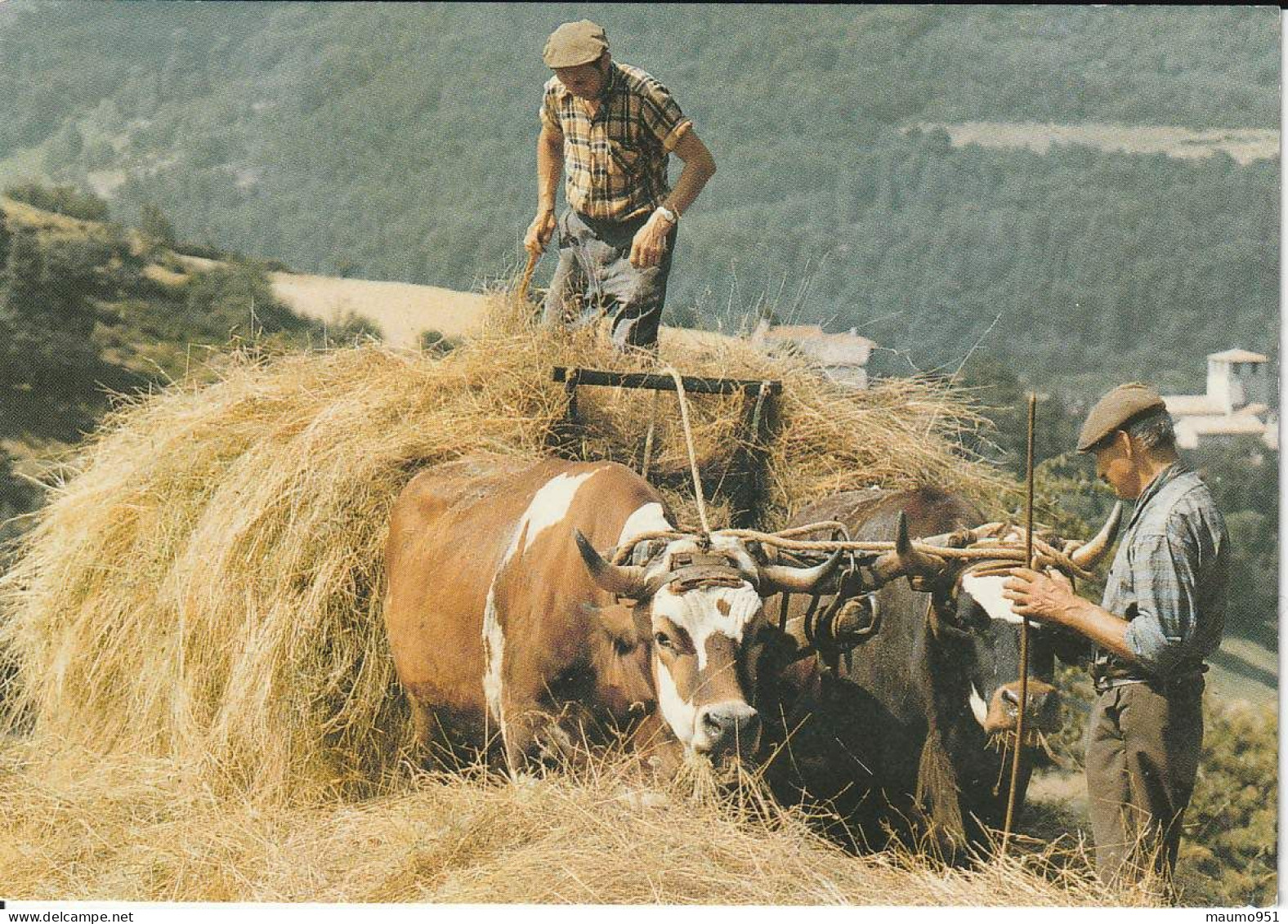 Terroir Et Traditions La Fenaison - Farmers