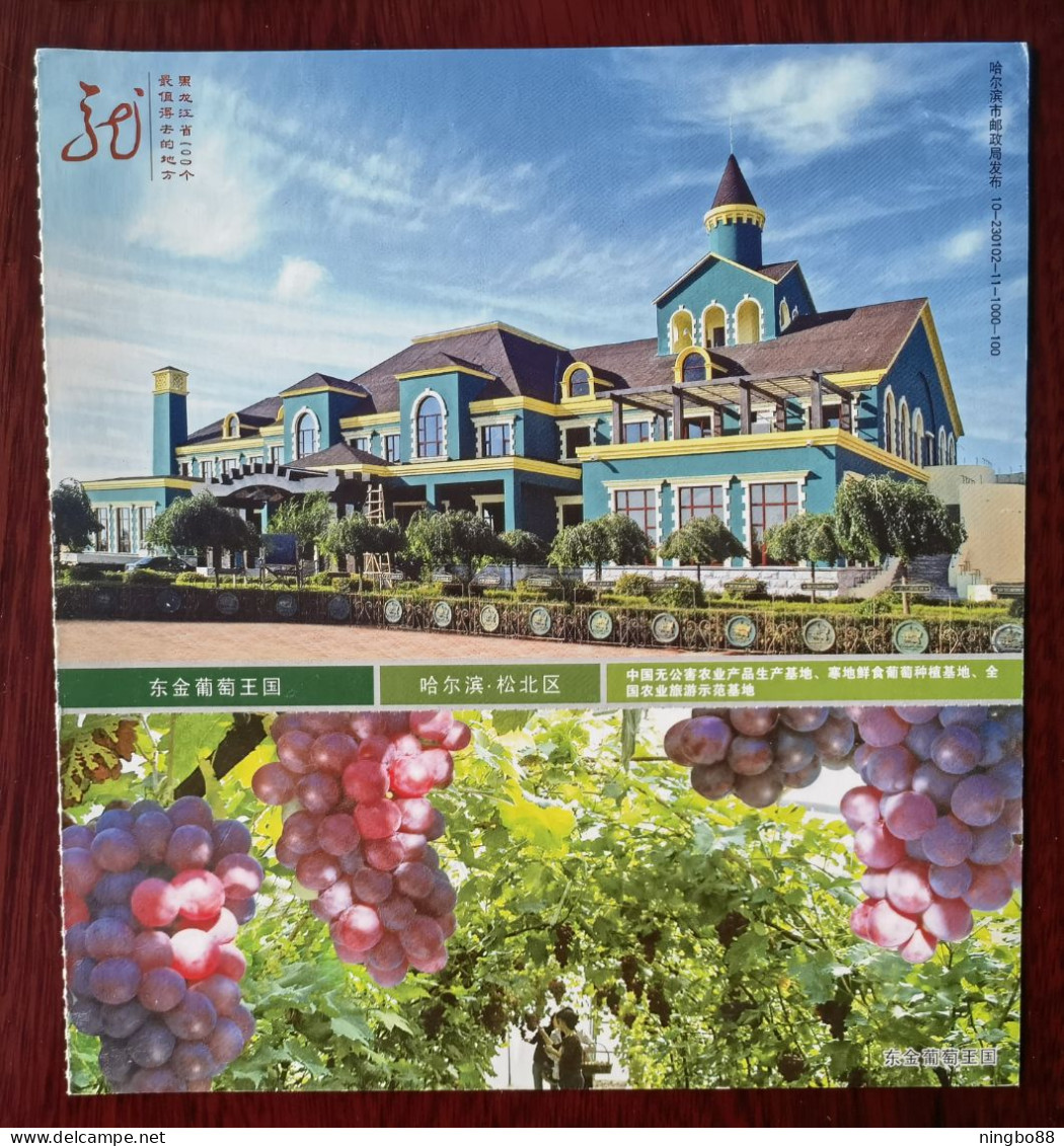 Fruit Grape,China 2010 Heilongjiang Province Top 100 The Most Worthwhile Attractions Dongjin Grape Kingdom Advert PSC - Fruits