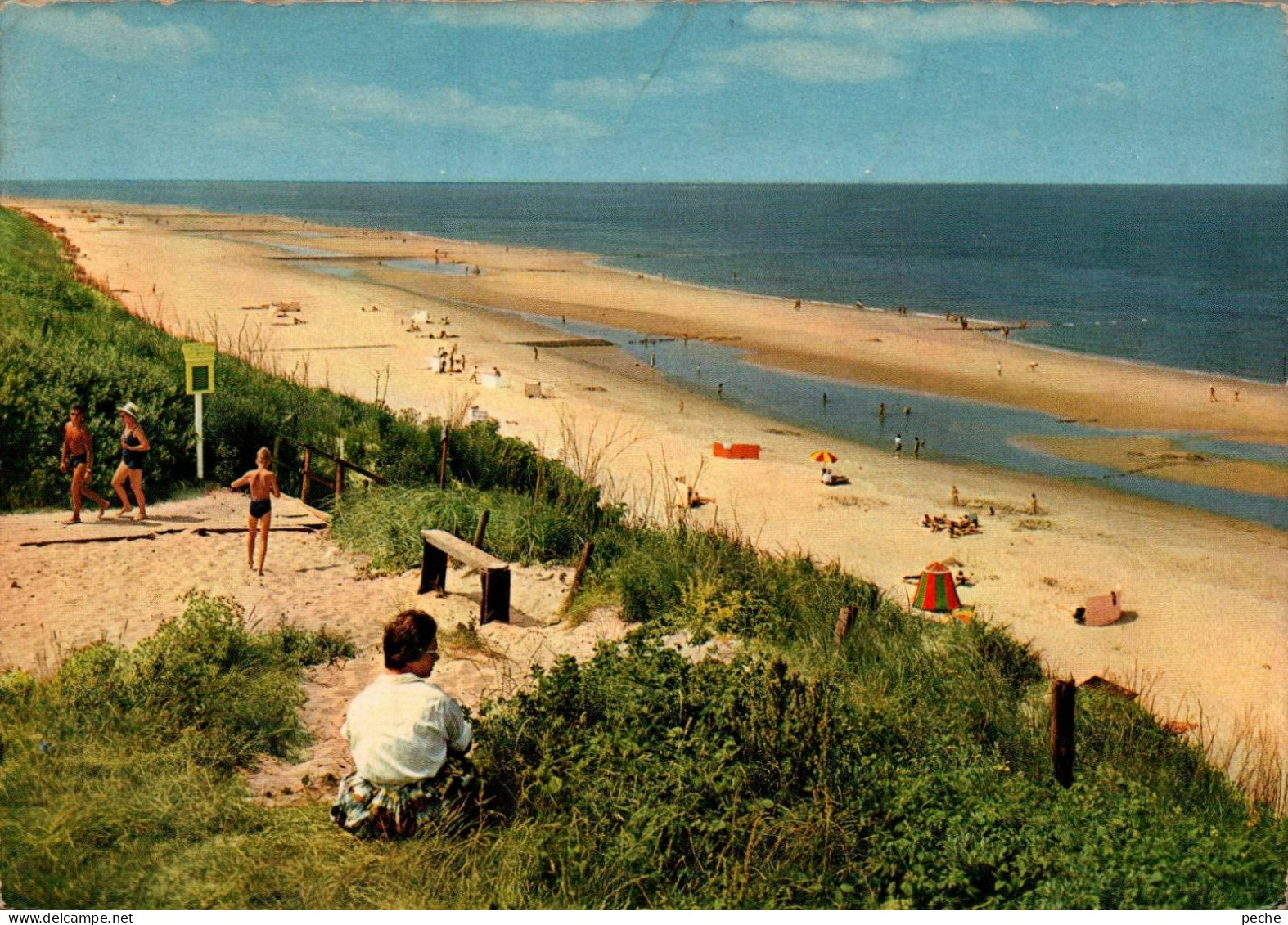 N°808 Z -cpsm Renesse -strand- - Renesse