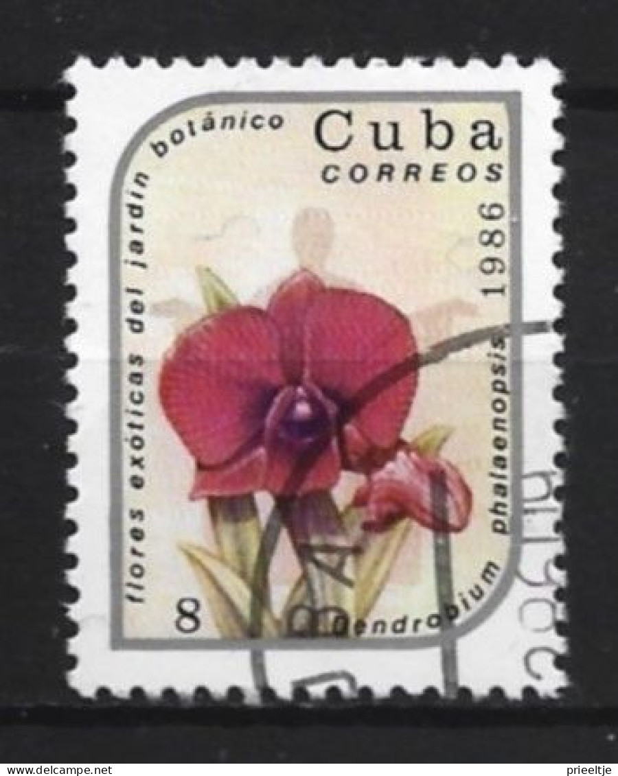 Cuba 1986 Flower  Y.T. 2671 (0) - Gebruikt