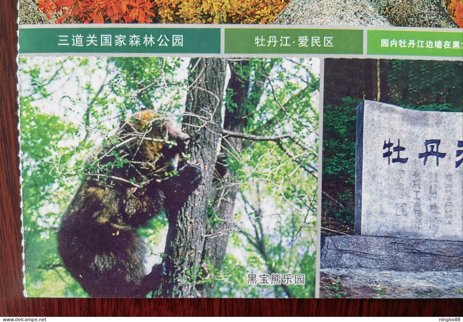 Blcak Bear Climbing Tree,CN 10 Heilongjiang Top 100 The Most Worthwhile Attractions Sandaoguan National Forest Park PSC - Bears