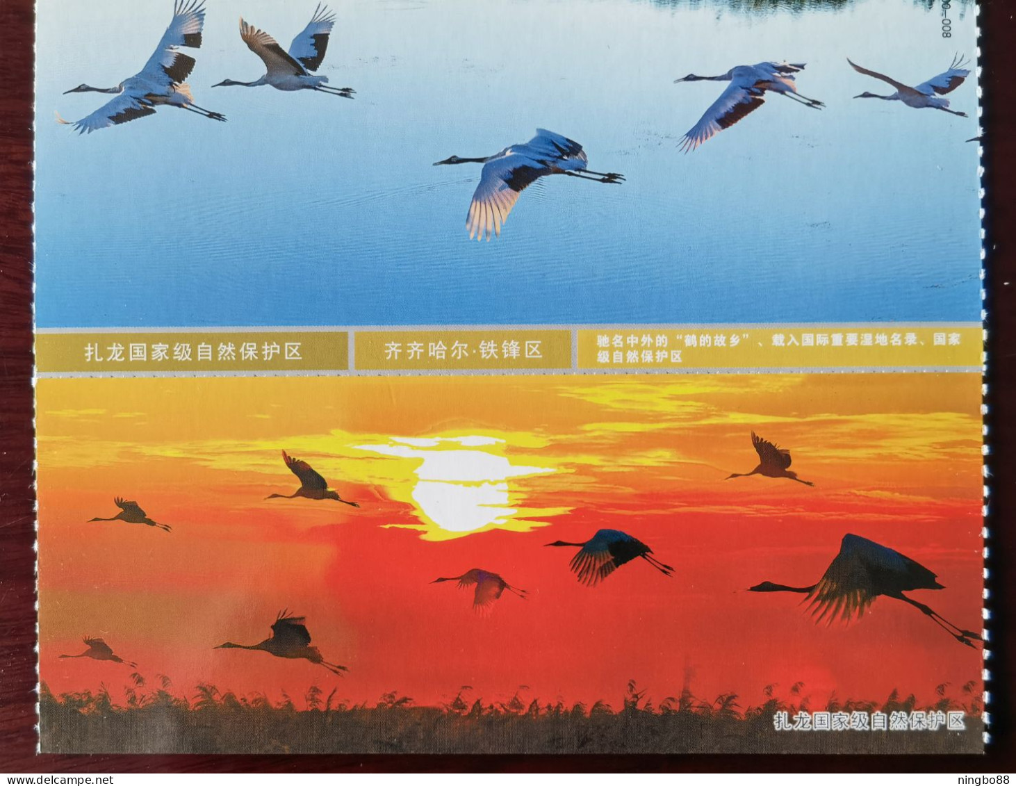 Red Crowned Crane,CN 10 Heilongjiang Province Top 100 Most Worthwhile Attractions Zhalong National Nature Reserve PSC - Kraanvogels En Kraanvogelachtigen