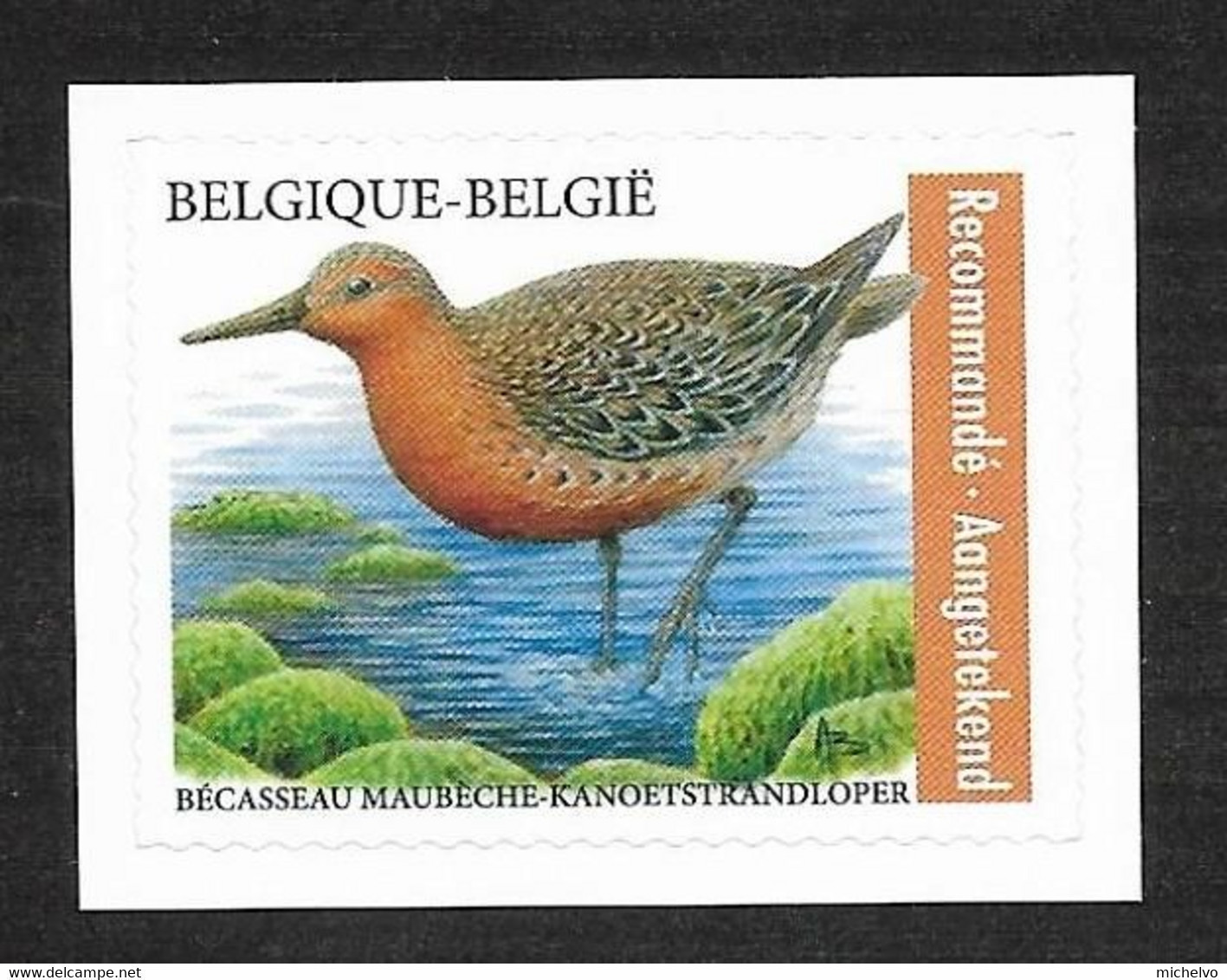 Belg. 2023 - Le Bécasseau Maubèche ** (timbre Pour Recommandé) - Unused Stamps