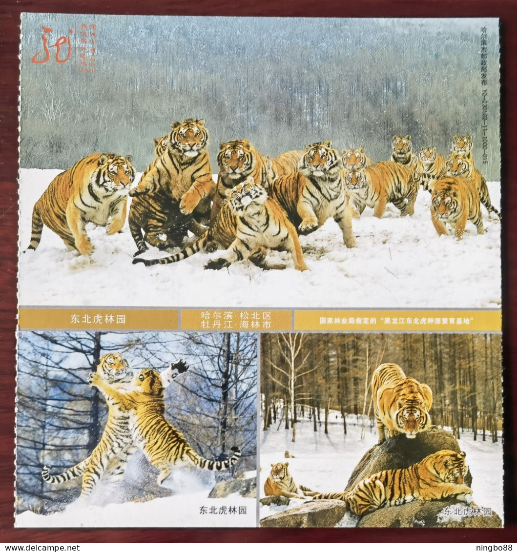 Northeast Tiger,CN 10 Heilongjiang Attractions World Largest Artificial Breeding And Nurturing Northeast Tiger Base PSC - Félins