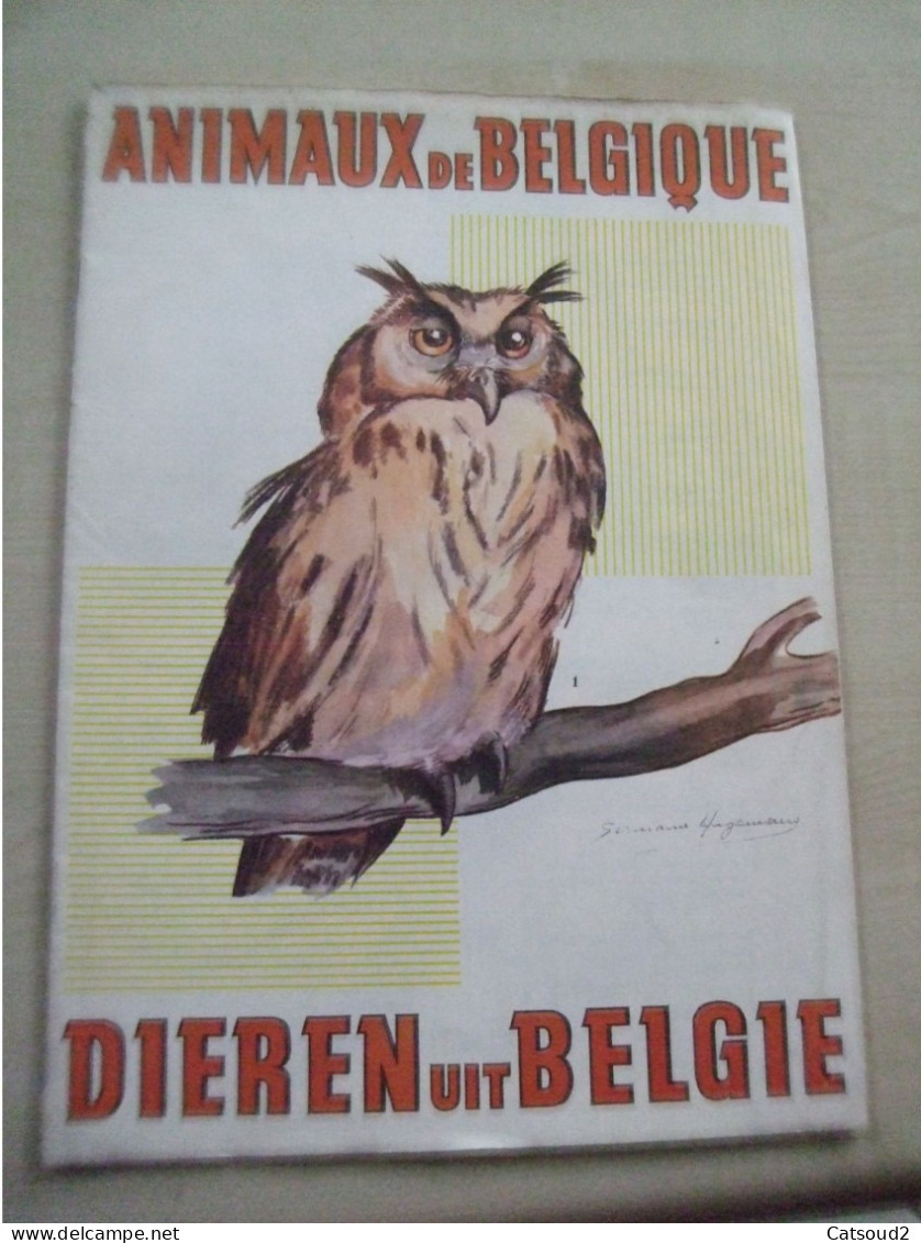 Livret ANIMAUX DE BELGIQUE Illustré Par Germaine Hagemans - Didactische Kaarten