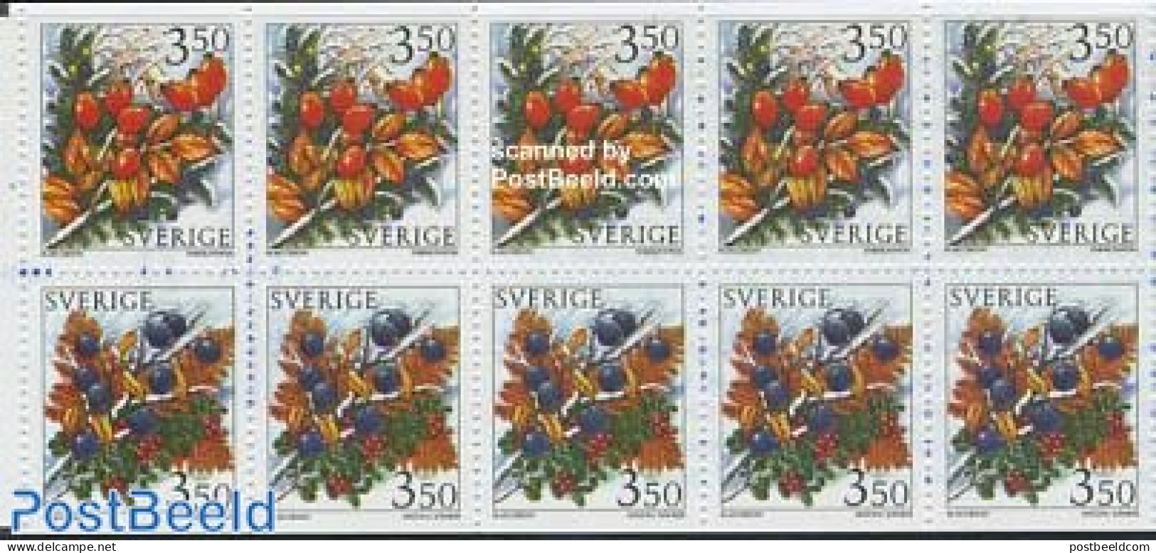 Sweden 1996 Berries Booklet, Mint NH, Nature - Fruit - Stamp Booklets - Neufs